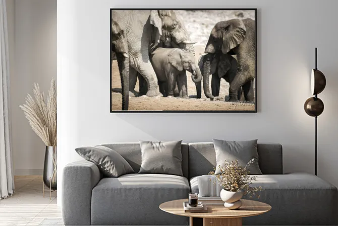 Plakat: Elephant w etosha national park.