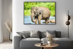 Plakat: Elephatnt