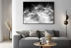 Plakat: Fotografia czarno biała nasion dmuchawca