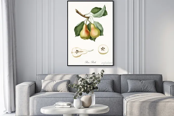 Plakat: Gałązka gruszki na retro ilustracji