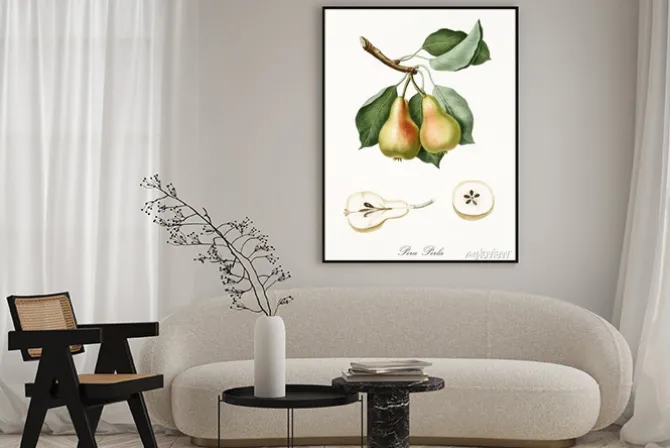 Plakat: Gałązka gruszki na retro ilustracji