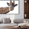 Plakat: Głowa żyrafa na białym tle