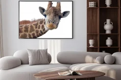 Plakat: Głowa żyrafa na białym tle