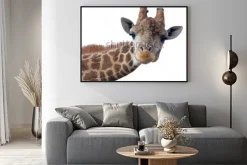 Plakat: Głowa żyrafa na białym tle