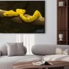 Plakat: Green tree python - żółty niedojrzałe -02