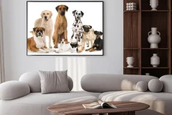 Plakat: Gruppe verschiedener hunde - grupa psów