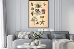 Plakat: Histoire naturel: fond marin