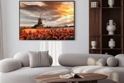 Plakat: Holenderskie wiatraki z czerwonych tulipanów zamknąć amsterdam,