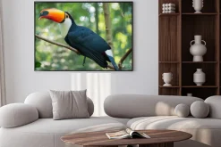 Plakat: Iguazu bird sanctuary
