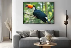 Plakat: Iguazu bird sanctuary