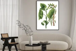 Plakat: Ilustracja kolor kwiatów w akwareli obrazy