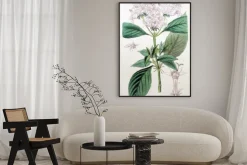 Plakat: Ilustracja roślin