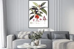 Plakat: Ilustracja roślin