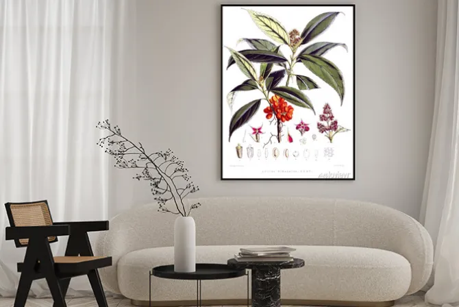 Plakat: Ilustracja roślin