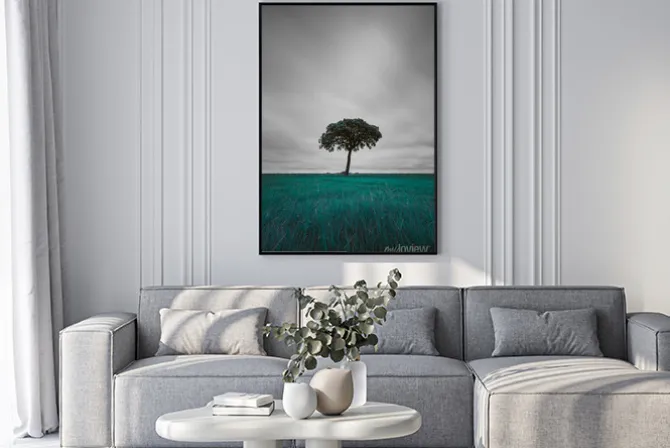 Plakat: Isolated tree