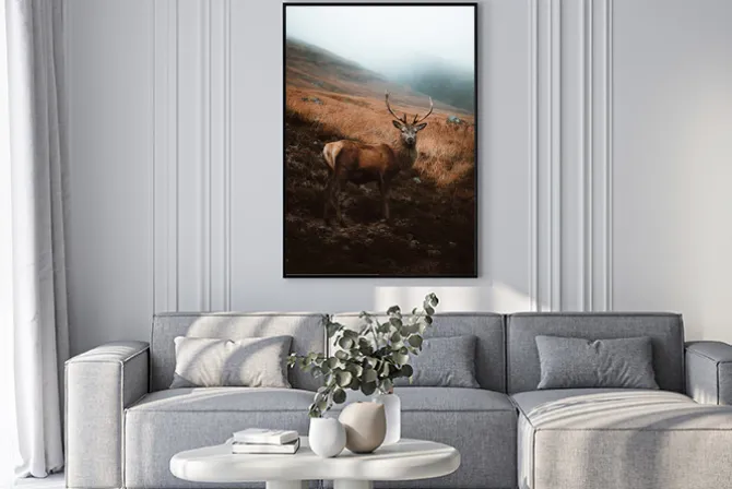 Plakat: Jeleń na polanie jesienny krajobraz