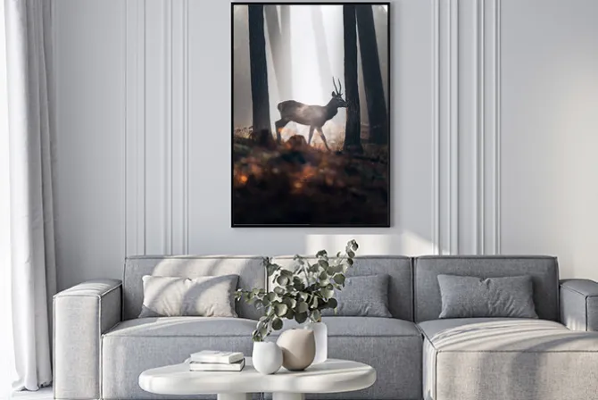 Plakat: Jeleń w mglistym lesie o poranku krajobraz