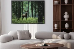 Plakat: Jeleń w zielonym krajobrazie lasu