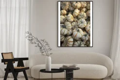 Plakat: Jesienne dynie w ciepłym blasku słonecznym