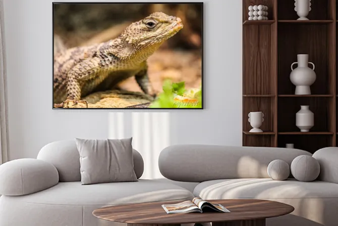 Plakat: Kleiner drache