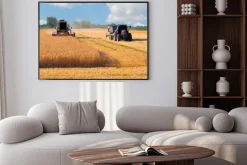 Plakat: Kombajn i ciągnik zbiorów pszenicy na słoneczny letni dzień