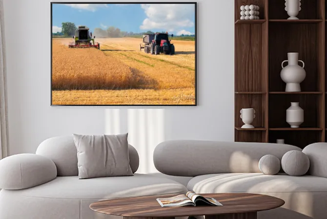 Plakat: Kombajn i ciągnik zbiorów pszenicy na słoneczny letni dzień