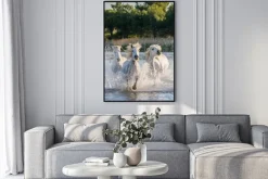 Plakat: Konie galopujące w rzece