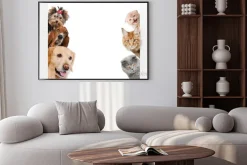 Plakat: Koty i psy na jednej fotografii