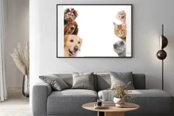 Plakat: Koty i psy na jednej fotografii