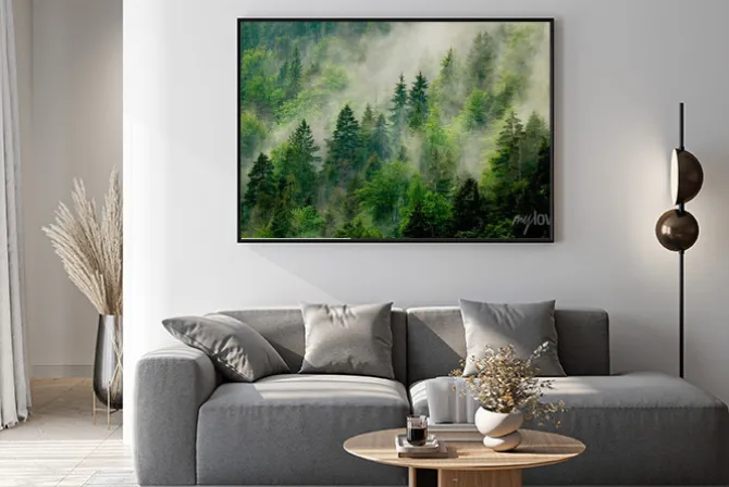 Plakat: Krajobraz lasu iglastego we mgle