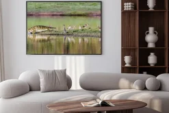 Plakat: Krokodyl nilowy w kruger national park, republika południowej