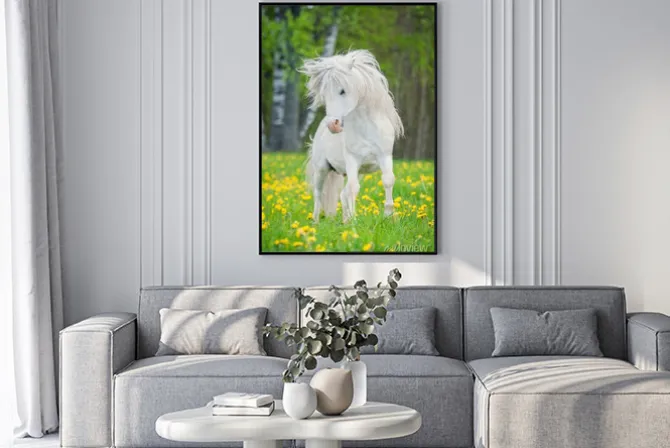 Plakat: Kucyk z białą grzywą na łące