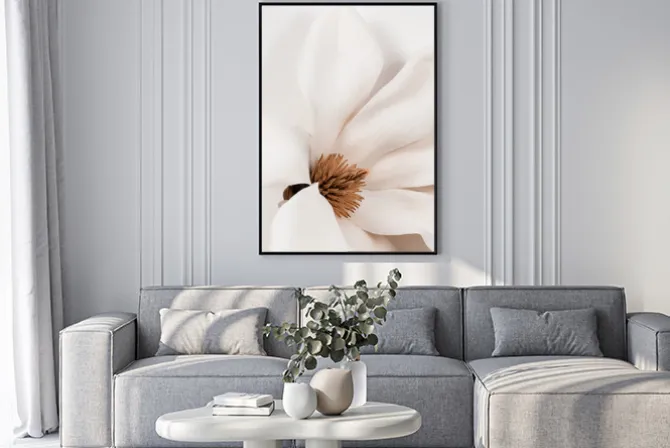 Plakat: Kwiat magnolii w kolorze bieli