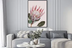 Plakat: Kwiat protea na jasnoróżowym tle