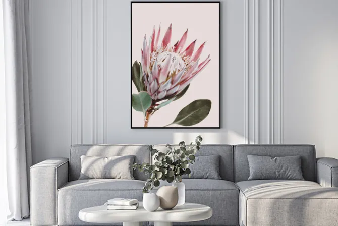 Plakat: Kwiat protea na jasnoróżowym tle
