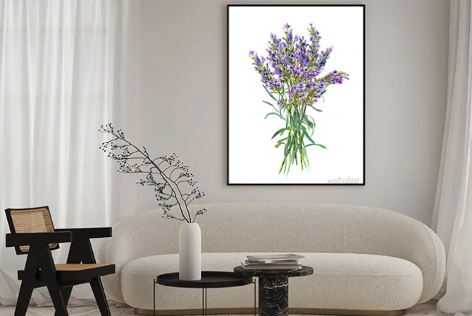 Plakat: Kwiaty lawendy. akwarela zioła medyczne