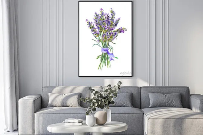 Plakat: Kwiaty lawendy grona. akwarela