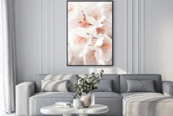 Plakat: Kwitnąca wiśnia białe kwiaty