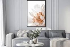 Plakat: Kwitnący biały kwiat ujęcie z bliska