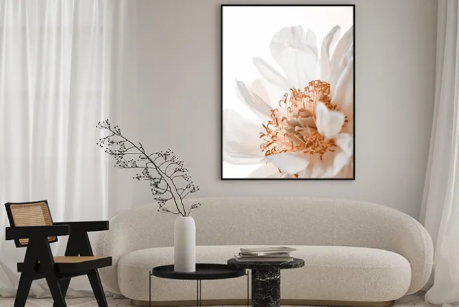 Plakat: Kwitnący biały kwiat ujęcie z bliska