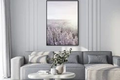 Plakat: Lawenda kwiaty polne o wschodzie słońca