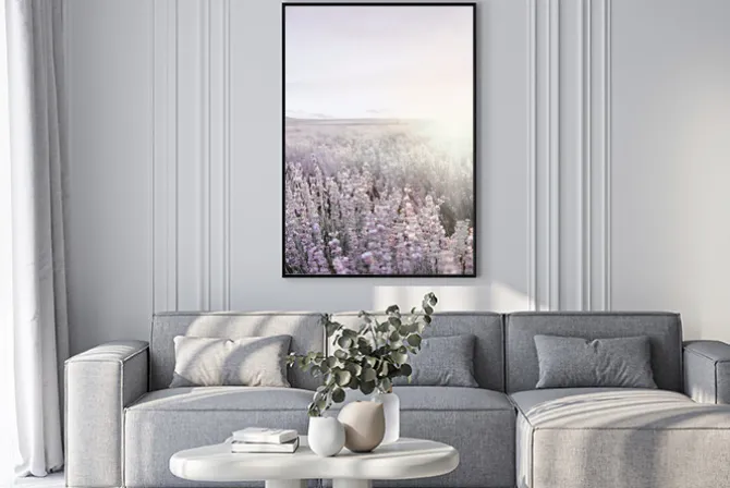 Plakat: Lawenda kwiaty polne o wschodzie słońca