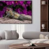Plakat: Legwan zielony (iguana iguana) odpoczynku na skale