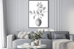 Plakat: Lemon tree fruit and flowers hand-drawn pencil illustration isolated