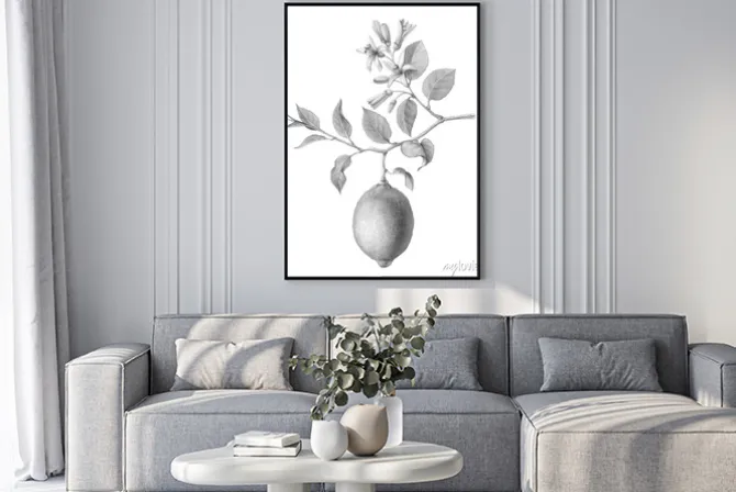 Plakat: Lemon tree fruit and flowers hand-drawn pencil illustration isolated