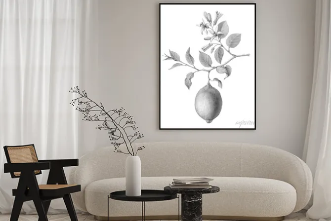 Plakat: Lemon tree fruit and flowers hand-drawn pencil illustration isolated