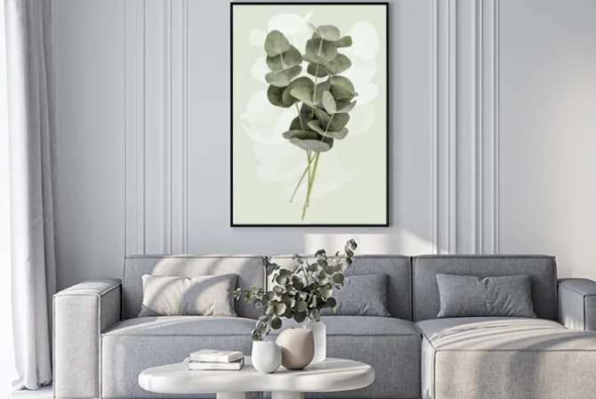 Plakat: Liście eukaliptusa w odcieniu zieleni