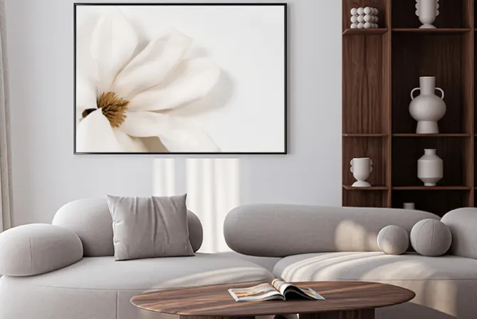 Plakat: Magnolia biały kwiat na jasnym tle