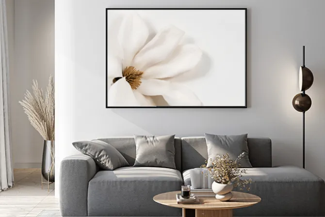 Plakat: Magnolia biały kwiat na jasnym tle