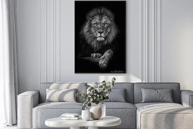 Plakat: Majestatyczna sylwetka lwa na ciemnym tle